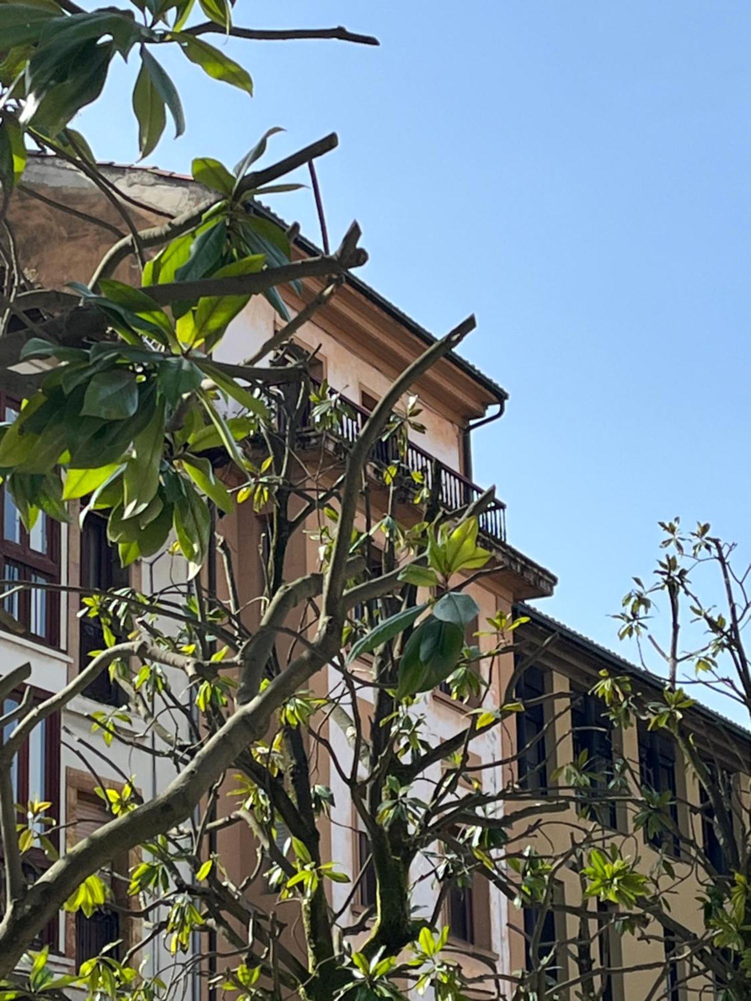 Apartamento Salsipuedes-La Catedral Oviedo Exteriör bild